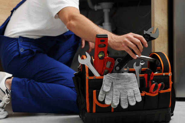 Best Plumbing Inspection Services  in Punta Rassa, FL